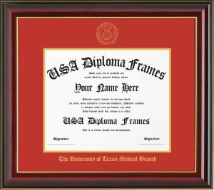Image of MD/PhD Frame 17x21, Gold Accent Orange Mat