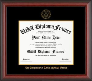 Image of MD/PhD Frame 17x21, Gold Accent Black Mat
